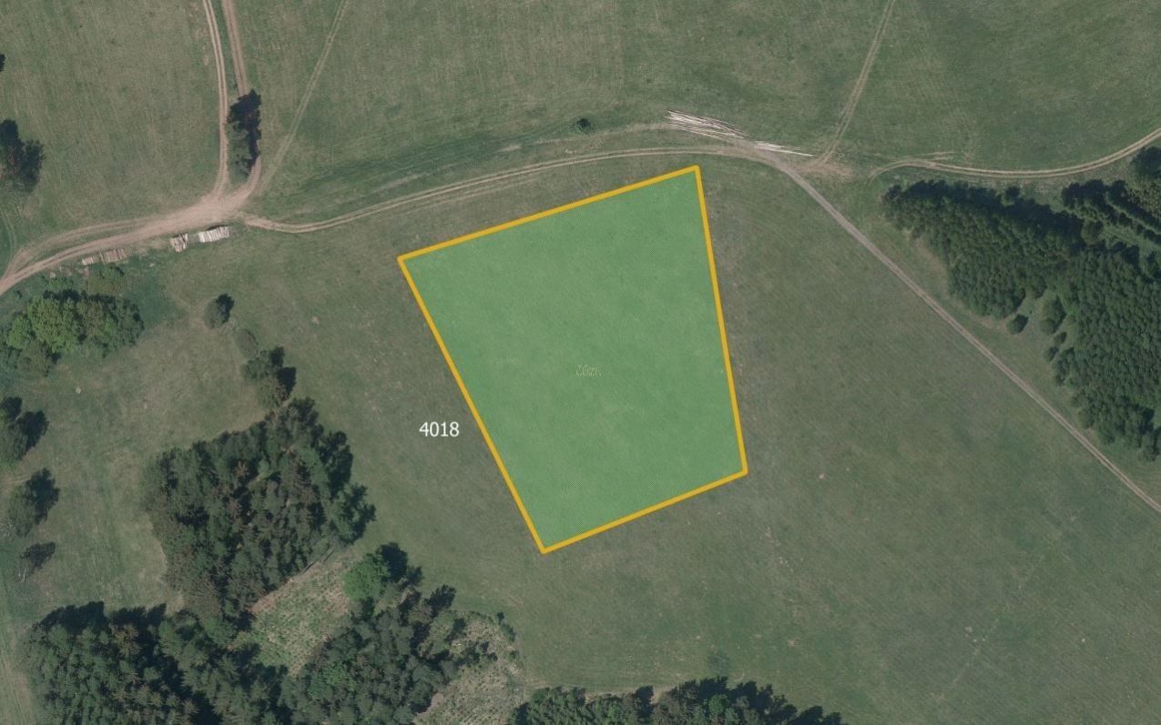 Prodej zemědělský pozemek - Starý Rokytník, Trutnov, 26 981 m²