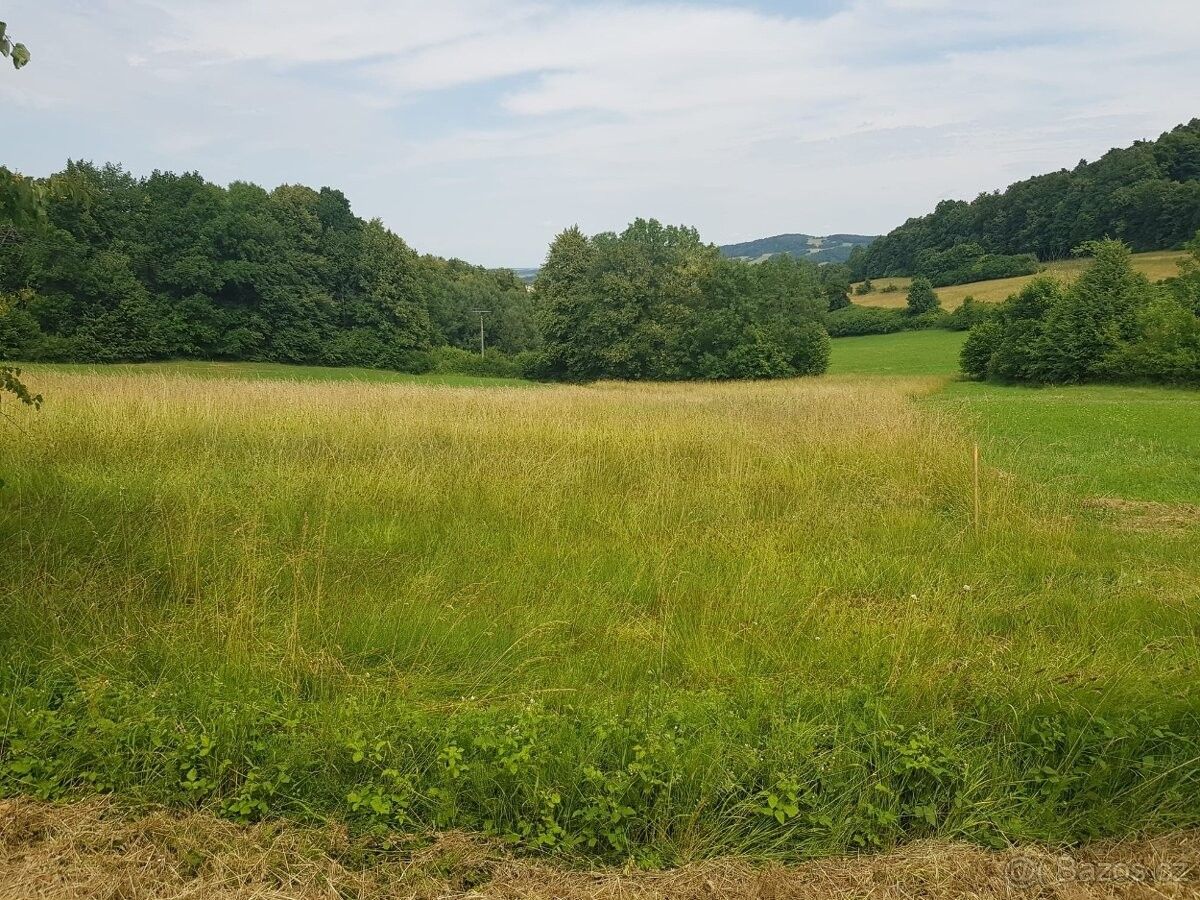 Prodej pozemek - Nový Jičín, 741 01, 3 425 m²