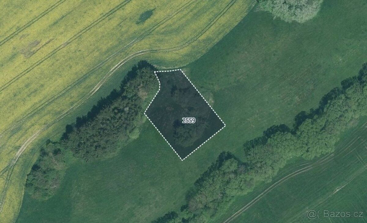 Prodej zemědělský pozemek - Plzeň-jih, 332 07, 25 056 m²