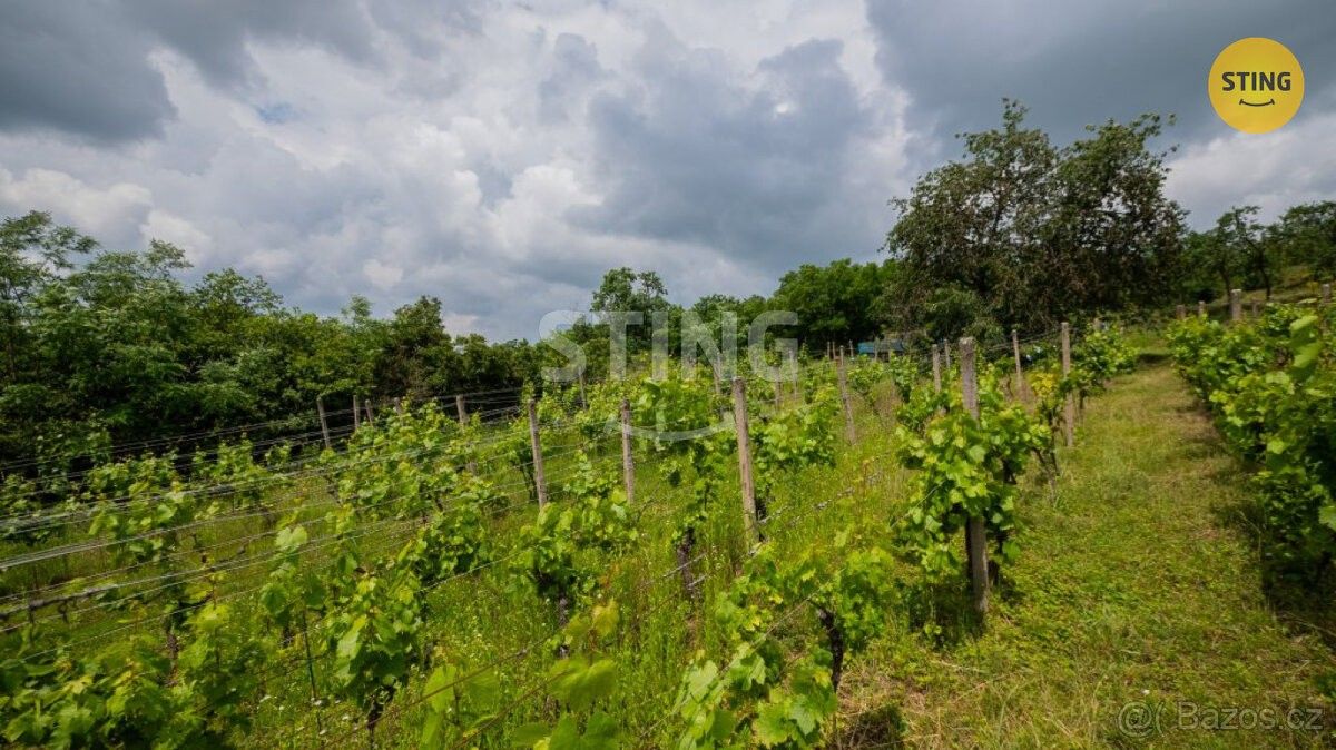 Prodej pozemek pro bydlení - Dolní Kounice, 664 64, 1 815 m²