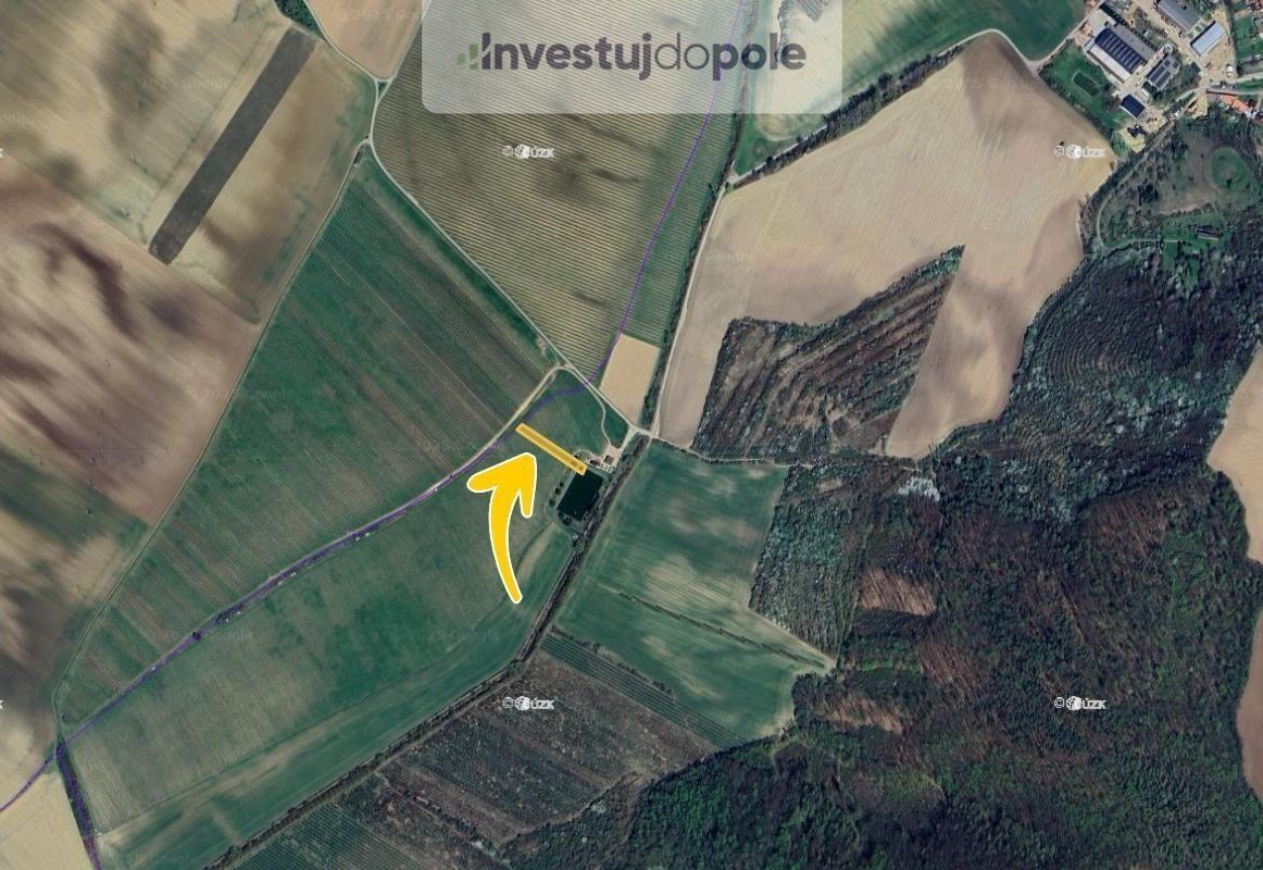 Prodej pozemek - Nechvalín, 1 248 m²
