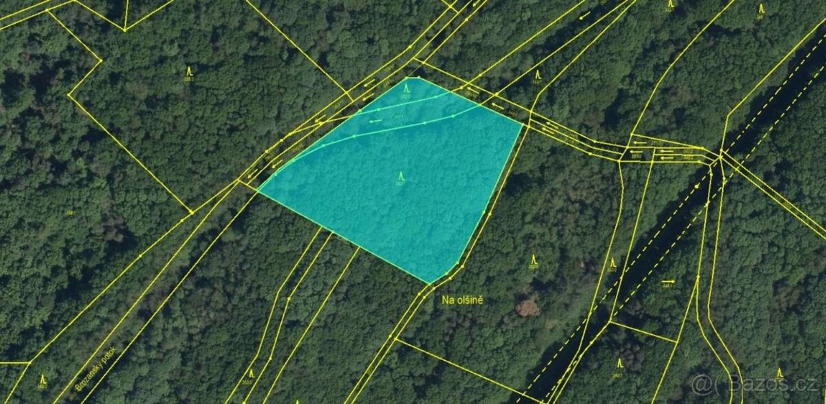 Lesy, Pardubice, 530 02, 339 m²
