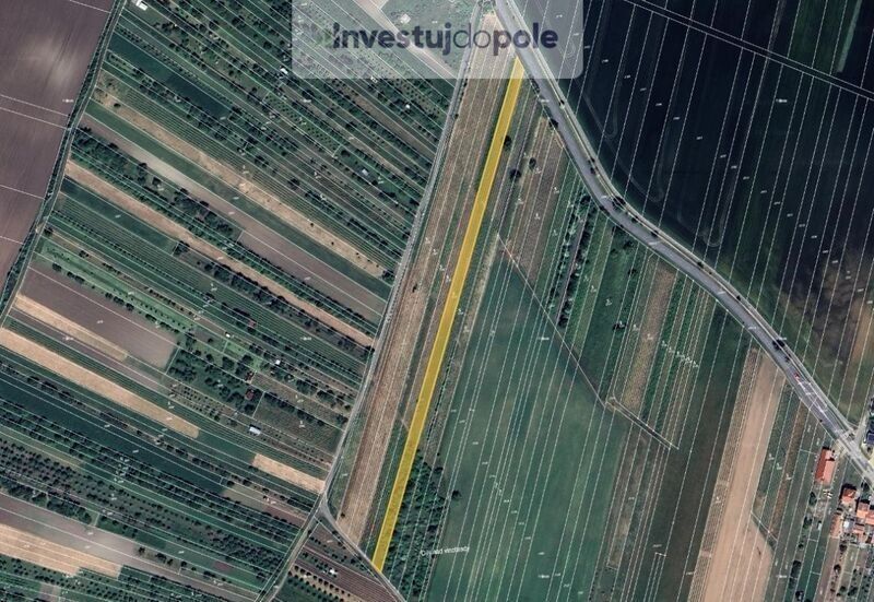 Ostatní, Šakvice, 691 67, 3 827 m²
