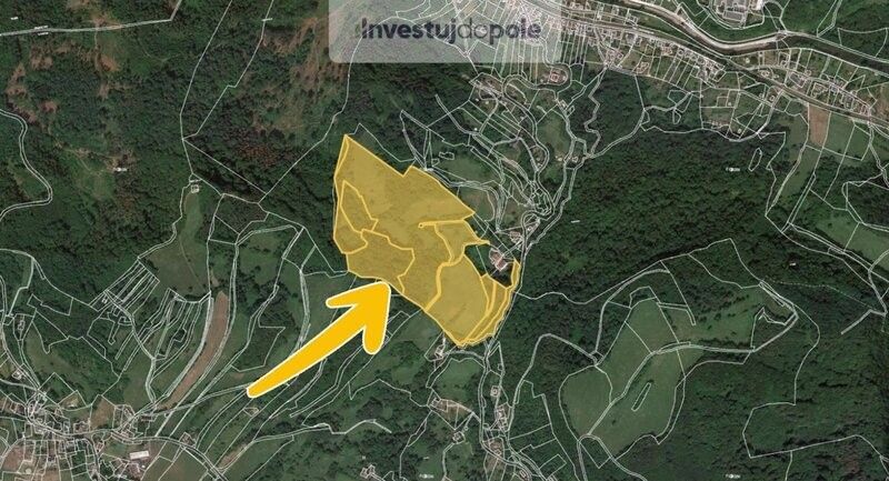 Prodej louka - Děčín, 405 02, 123 694 m²