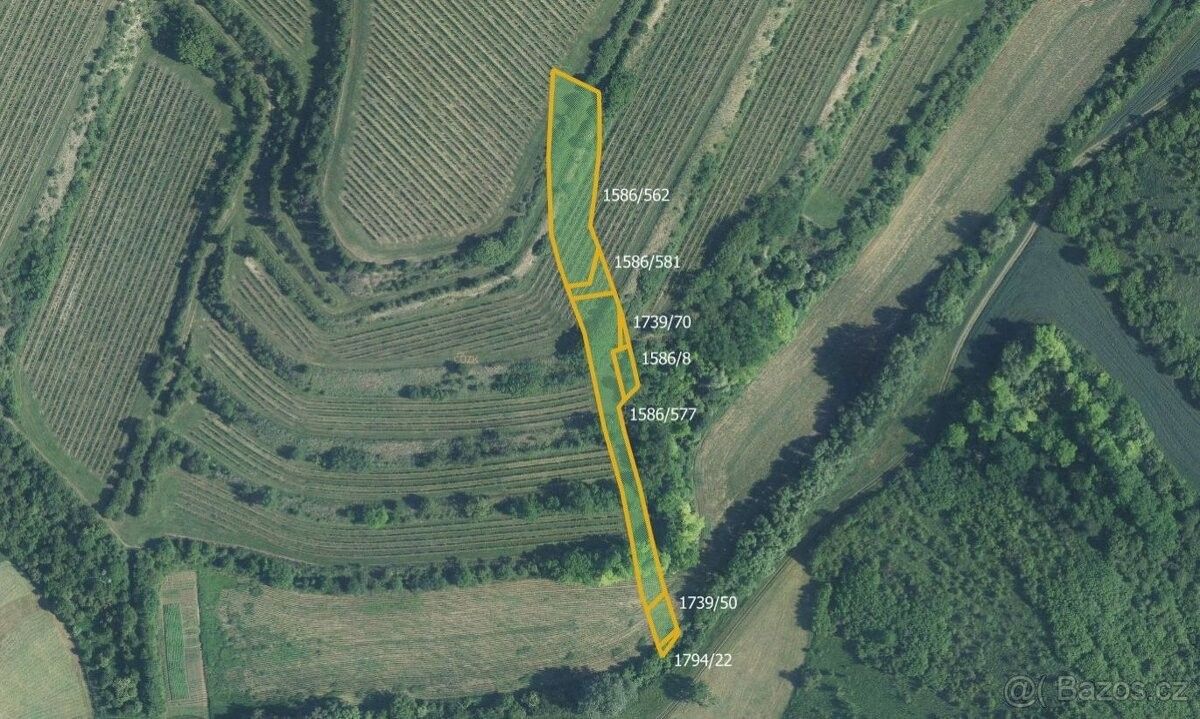 Prodej zemědělský pozemek - Uherčice u Hustopečí, 691 62