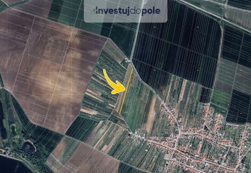 Prodej pozemek - Šakvice, 691 67, 3 827 m²