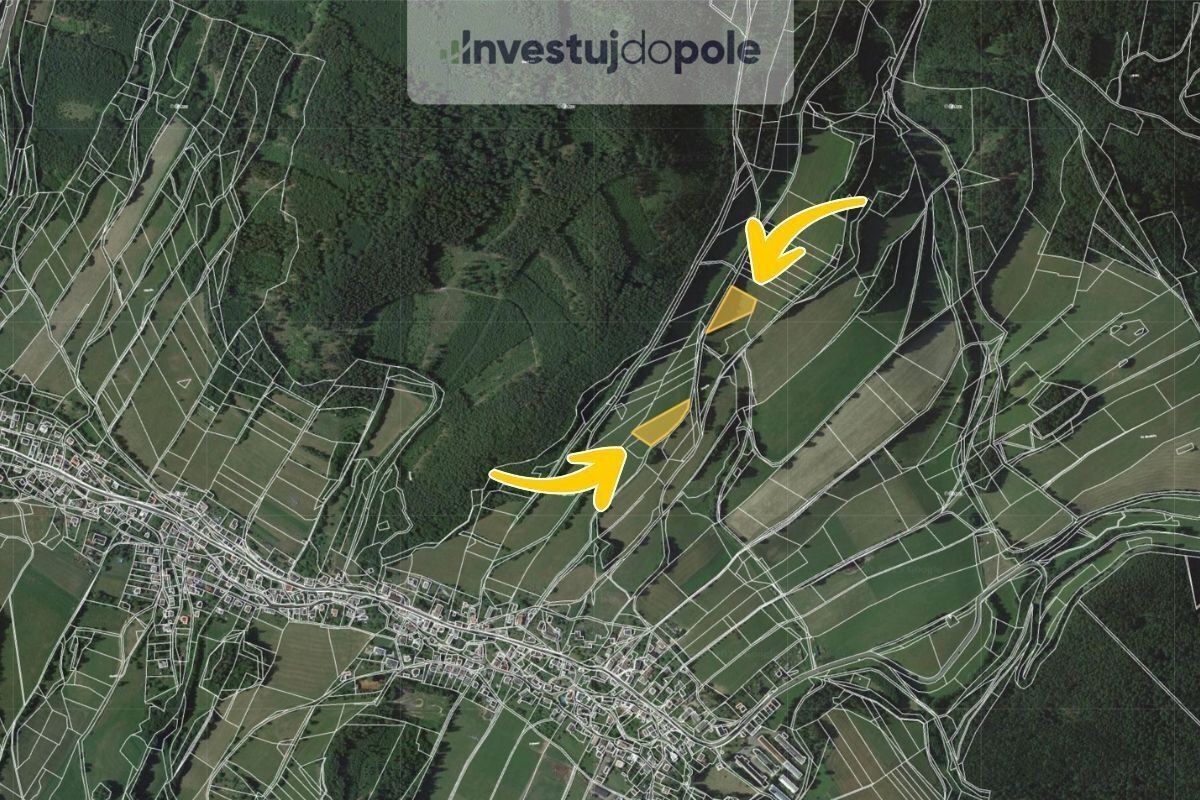 Prodej zemědělský pozemek - Hrabenov, Ruda nad Moravou, 8 266 m²