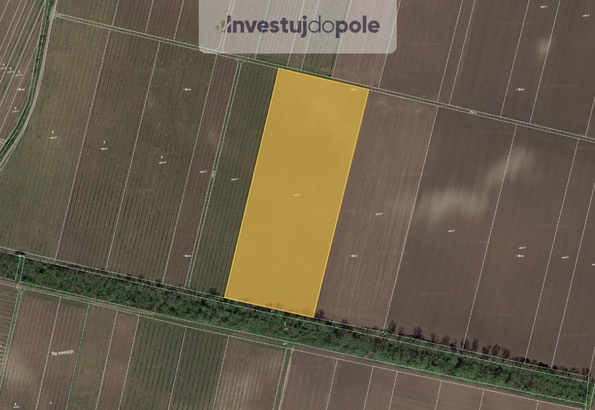 Zemědělské pozemky, Novosedly, 31 401 m²