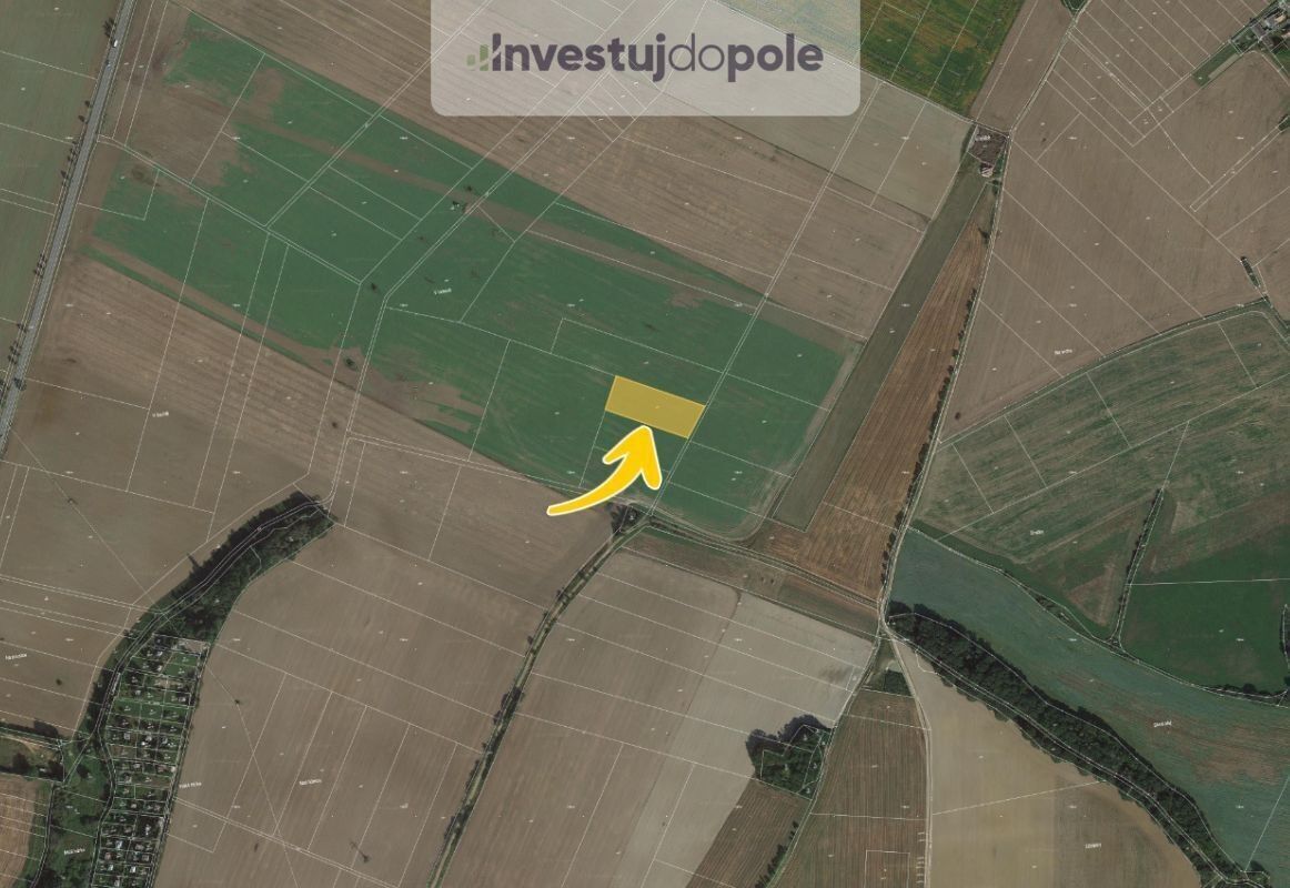 Prodej zemědělský pozemek - Horní Lukavice, 4 497 m²