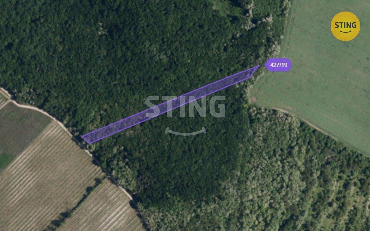 Prodej les - Bohumilice, Klobouky u Brna, 4 924 m²