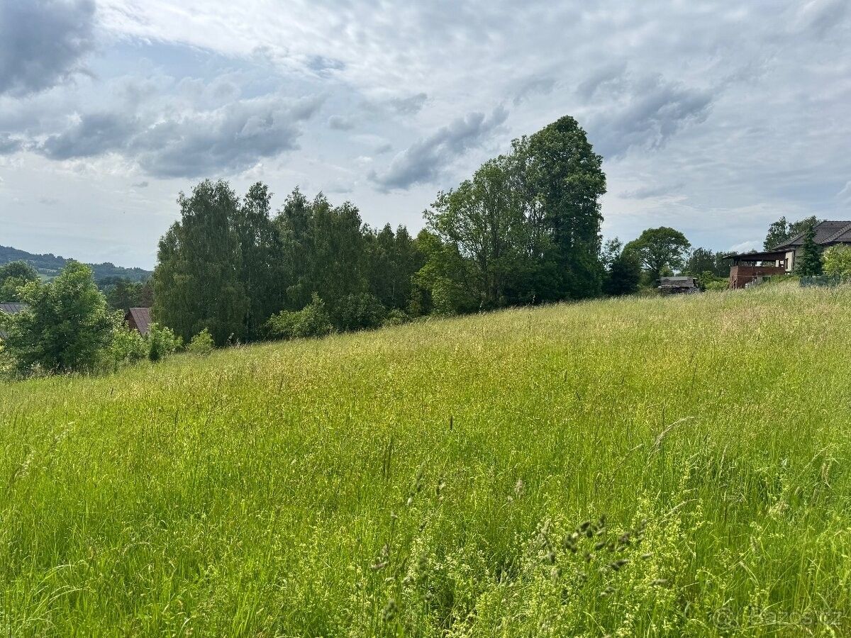 Ostatní, Železný Brod, 468 22, 1 068 m²