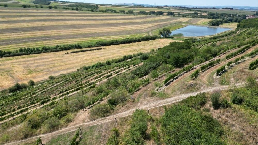 Prodej pozemek - Otnice, 683 54, 7 066 m²