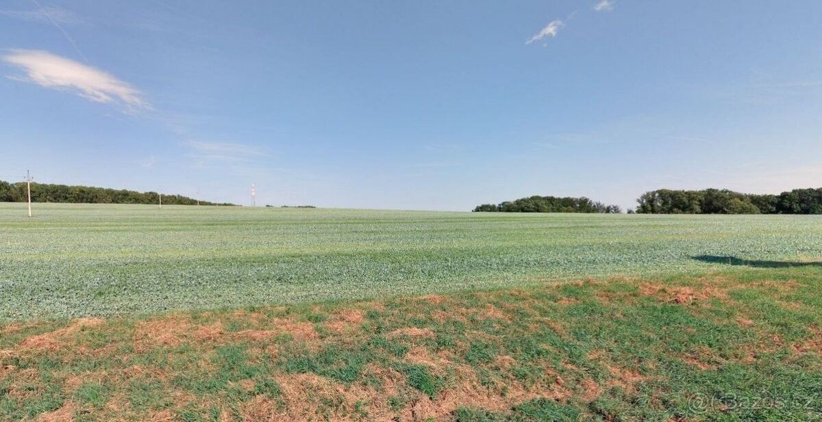 Prodej zemědělský pozemek - Dolní Bojanovice, 696 17