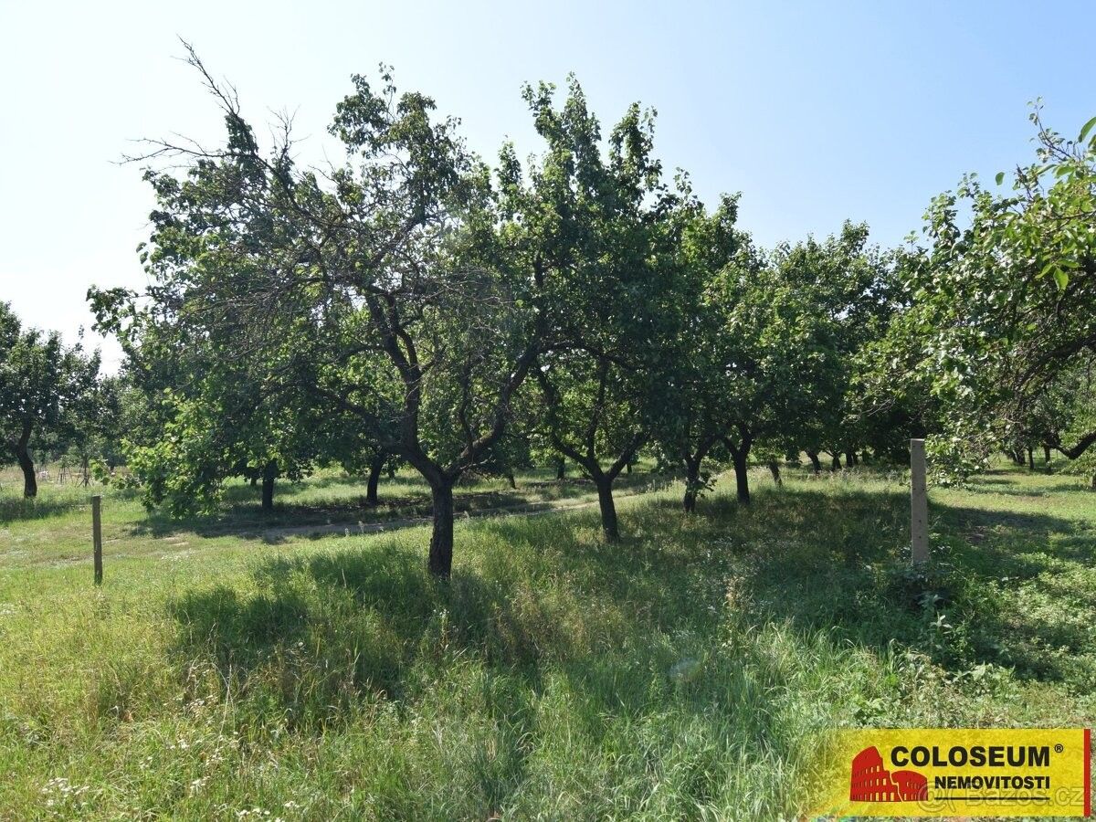 Prodej pozemek pro bydlení - Velké Pavlovice, 691 06, 550 m²