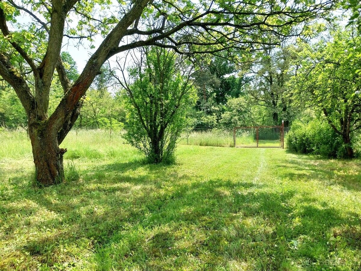 Prodej zahrada - Roudnice nad Labem, 413 01, 4 519 m²