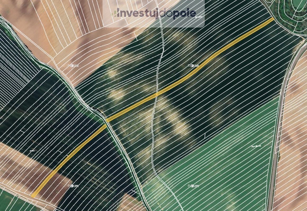 Zemědělské pozemky, Čejkovice, 8 100 m²