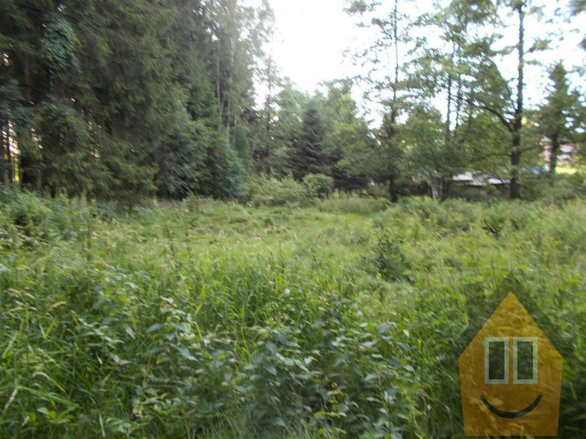 Prodej louka - Leopoldka, Velký Šenov, 3 266 m²