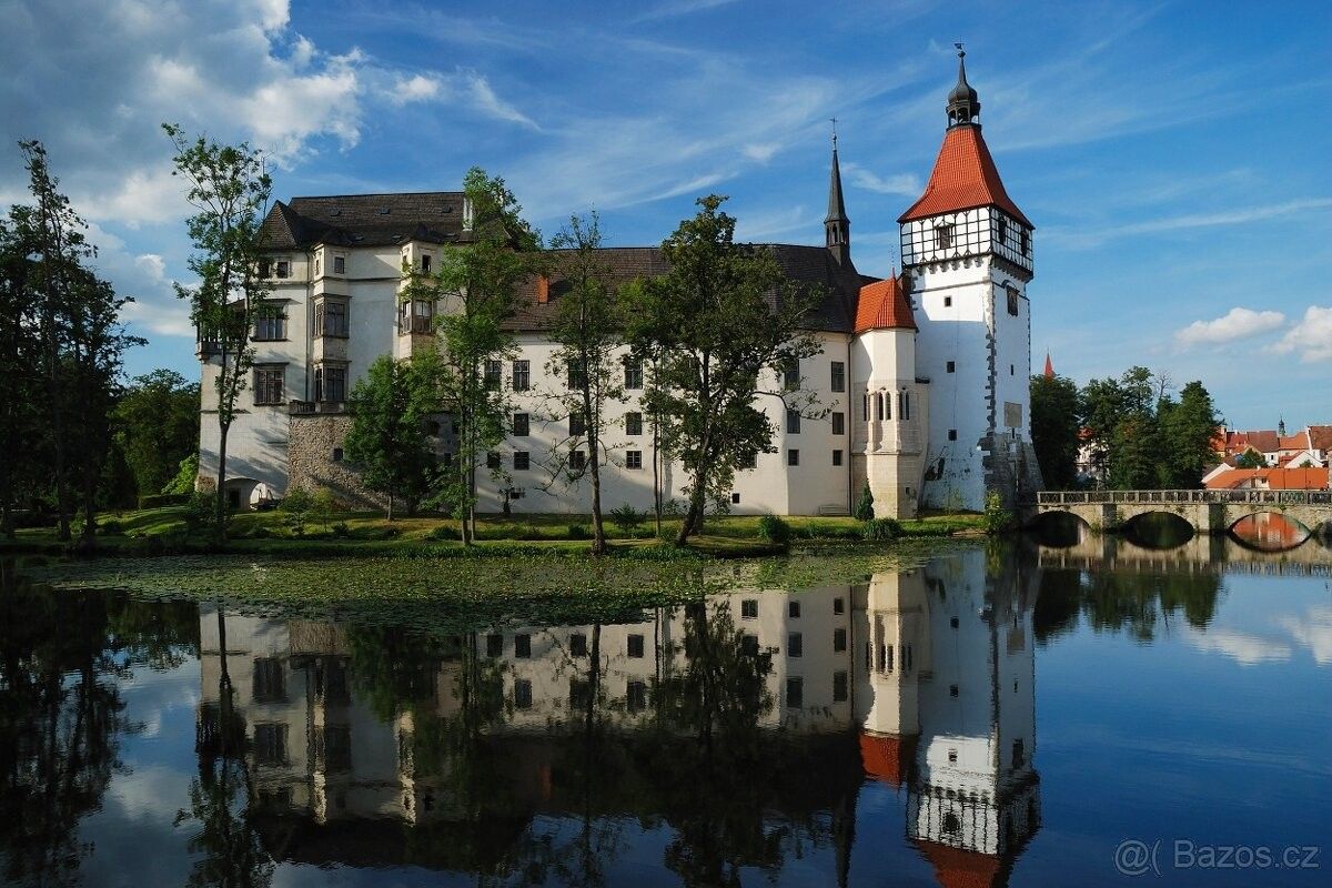 Prodej dům - Blatná, 388 01, 1 675 m²