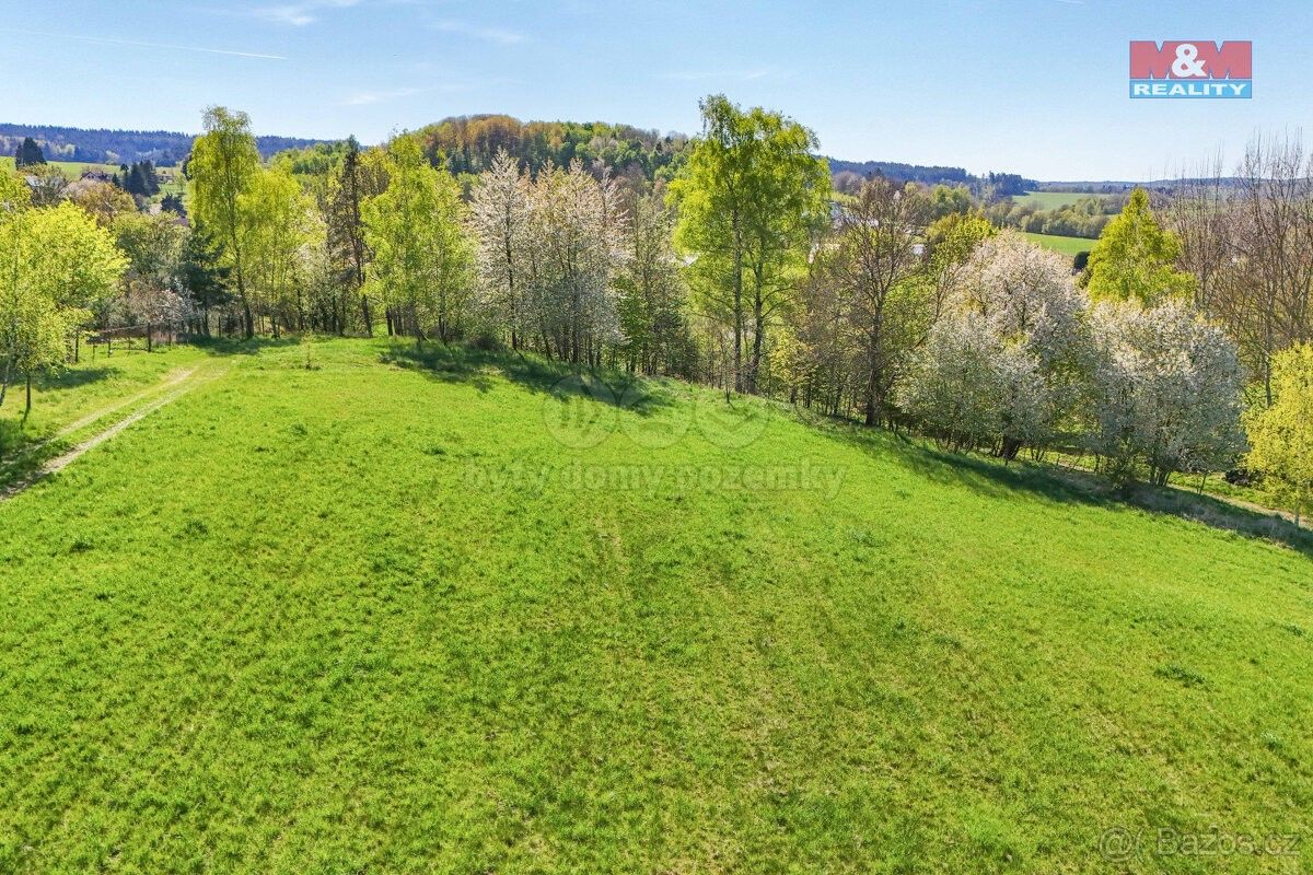 Prodej zemědělský pozemek - Tachov, 347 01, 1 693 m²