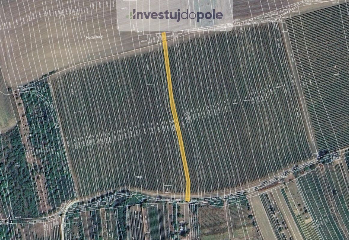 Ostatní, Bzenec, 963 m²