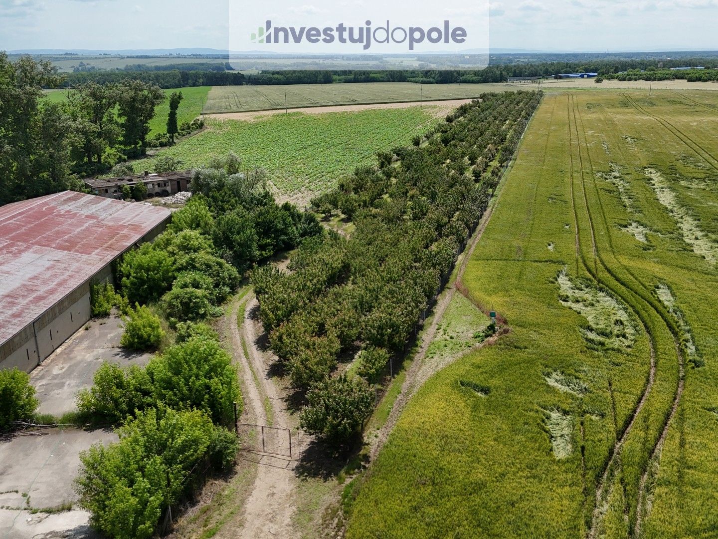 Prodej pozemek - Šardice, 11 718 m²