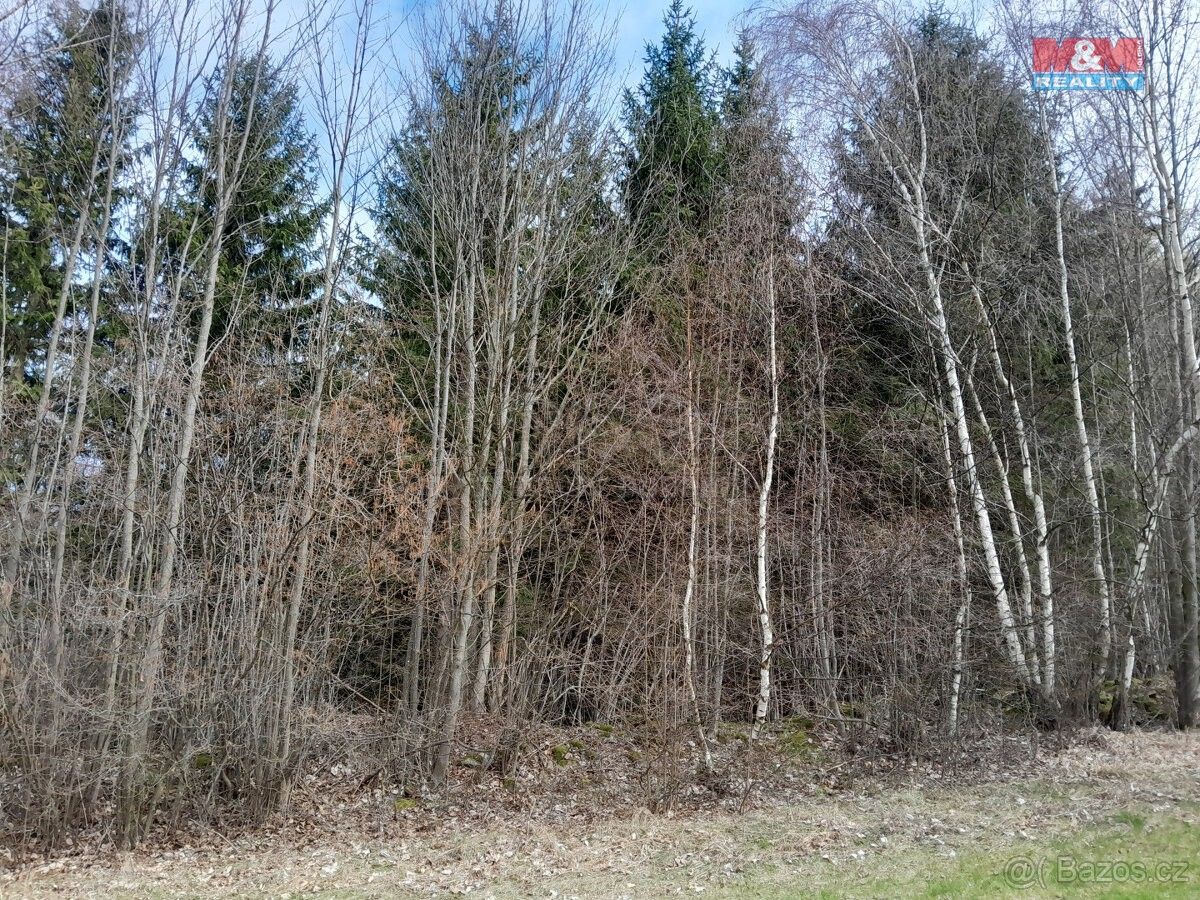 Prodej les - Čkyně, 384 81, 5 083 m²