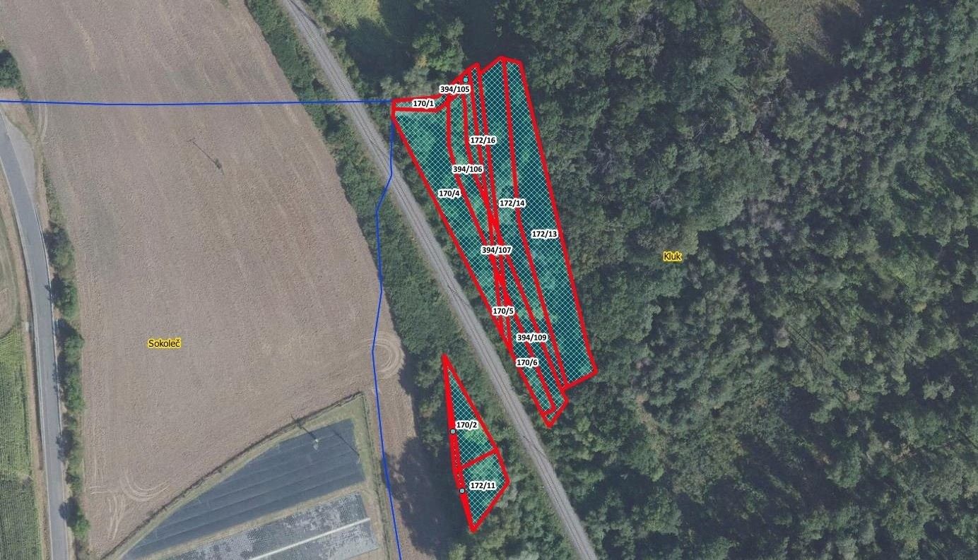 Lesy, Kluk, Poděbrady, 5 736 m²