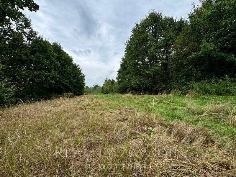 Louky, Za Vsí, Karviná, 3 072 m²