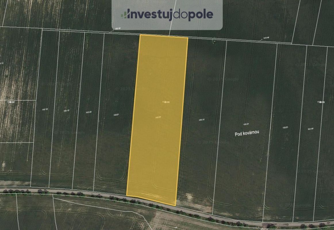 Zemědělské pozemky, Horní Slivno, 2 123 m²
