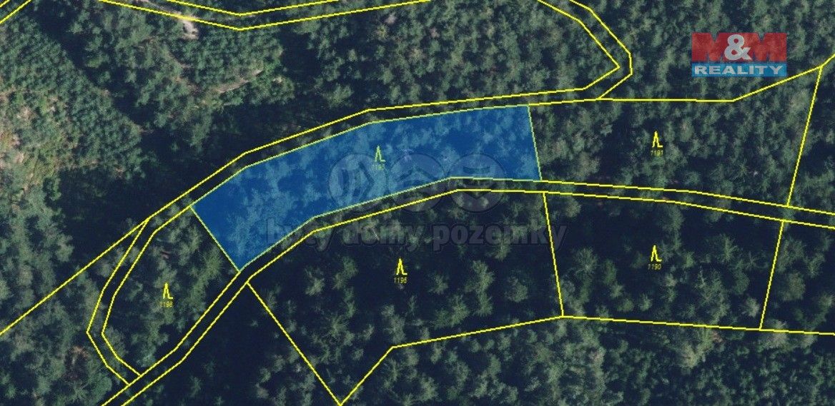 Prodej les - Proseč u Skutče, 539 44, 5 021 m²