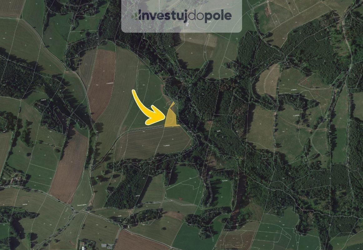 Prodej zemědělský pozemek - Čikvásky, Košťálov, 3 830 m²