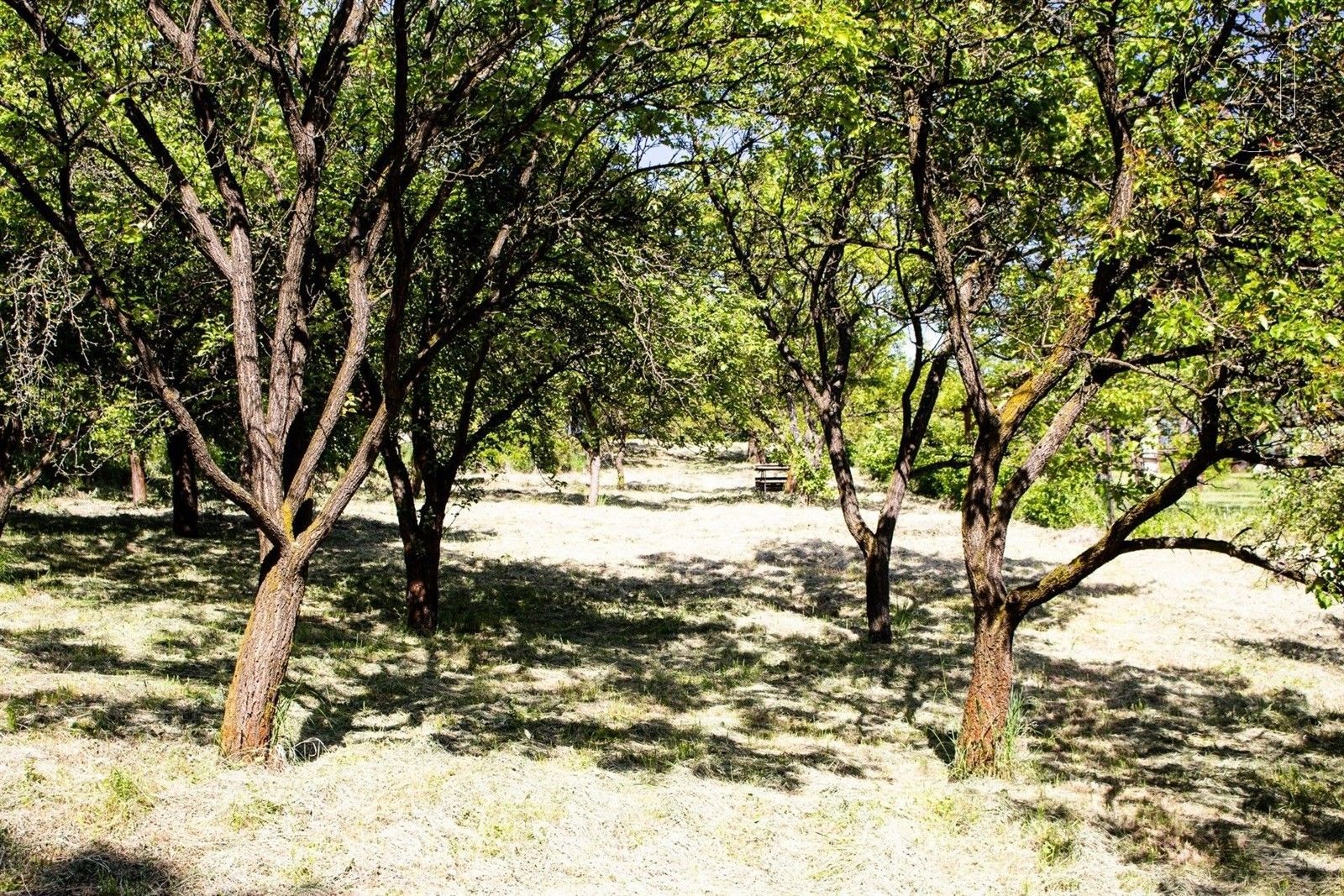 Zahrady, Slavkov u Brna, 2 756 m²
