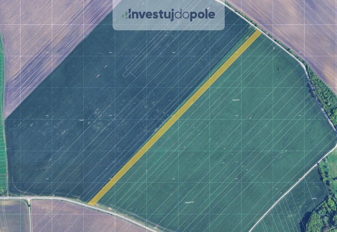 Zemědělské pozemky, Nikolčice, 15 471 m²