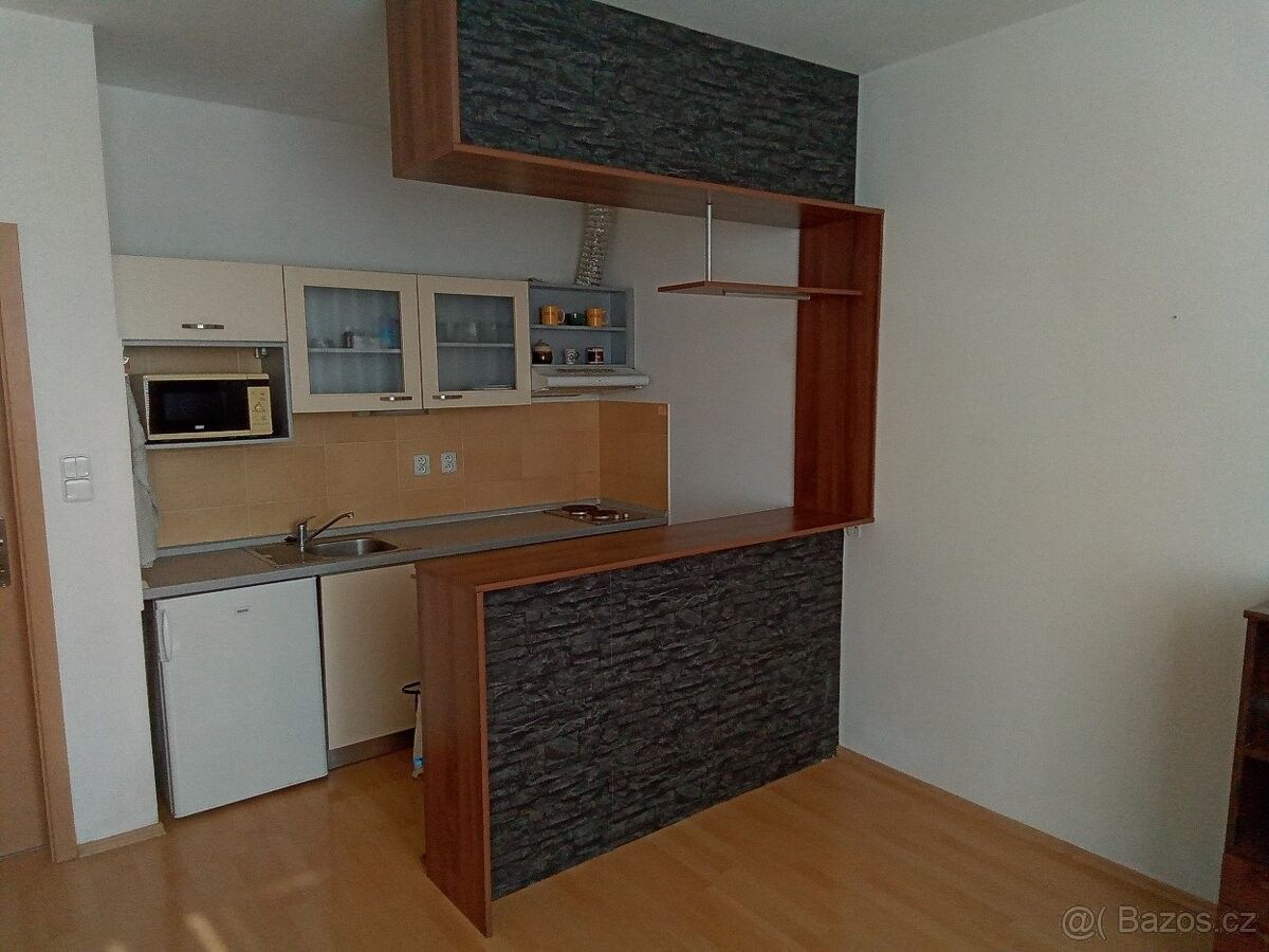 Pronájem byt 1+kk - Brno, 621 00, 40 m²