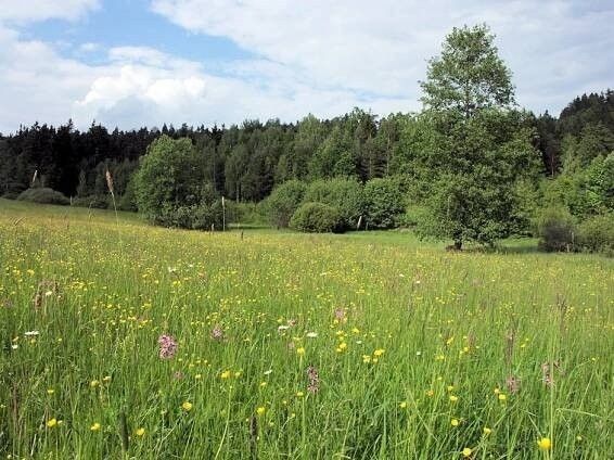 Pozemky pro bydlení, Havířov, 736 01, 1 392 m²