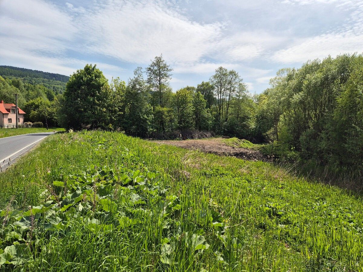 Pozemky pro bydlení, Velké Losiny, 788 15, 183 m²