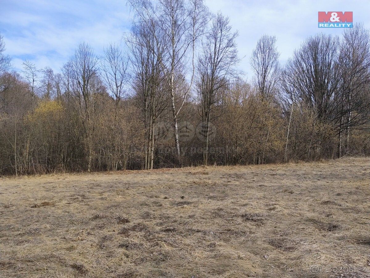 Pozemky pro bydlení, Rýmařov, 795 01, 1 920 m²