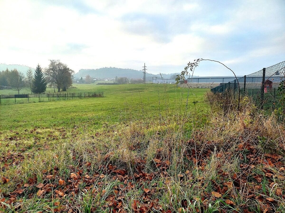 Pozemky pro bydlení, Žamberk, 564 01, 1 803 m²