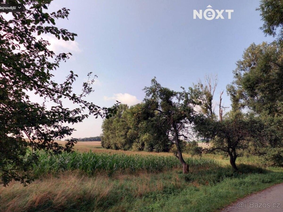 Prodej pozemek - Soběchleby, 753 54, 6 011 m²