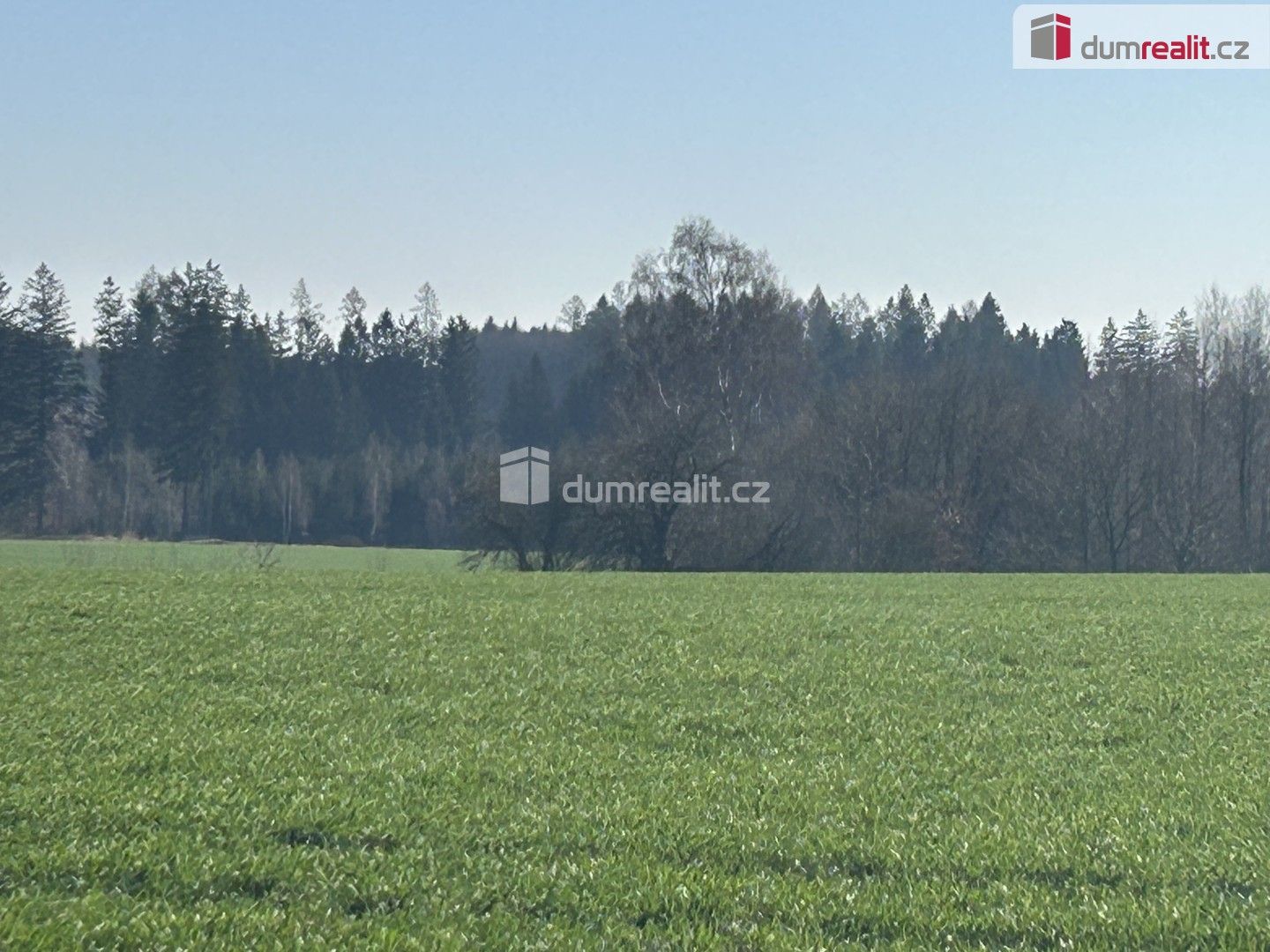Lesy, Vlkanov, 38 487 m²