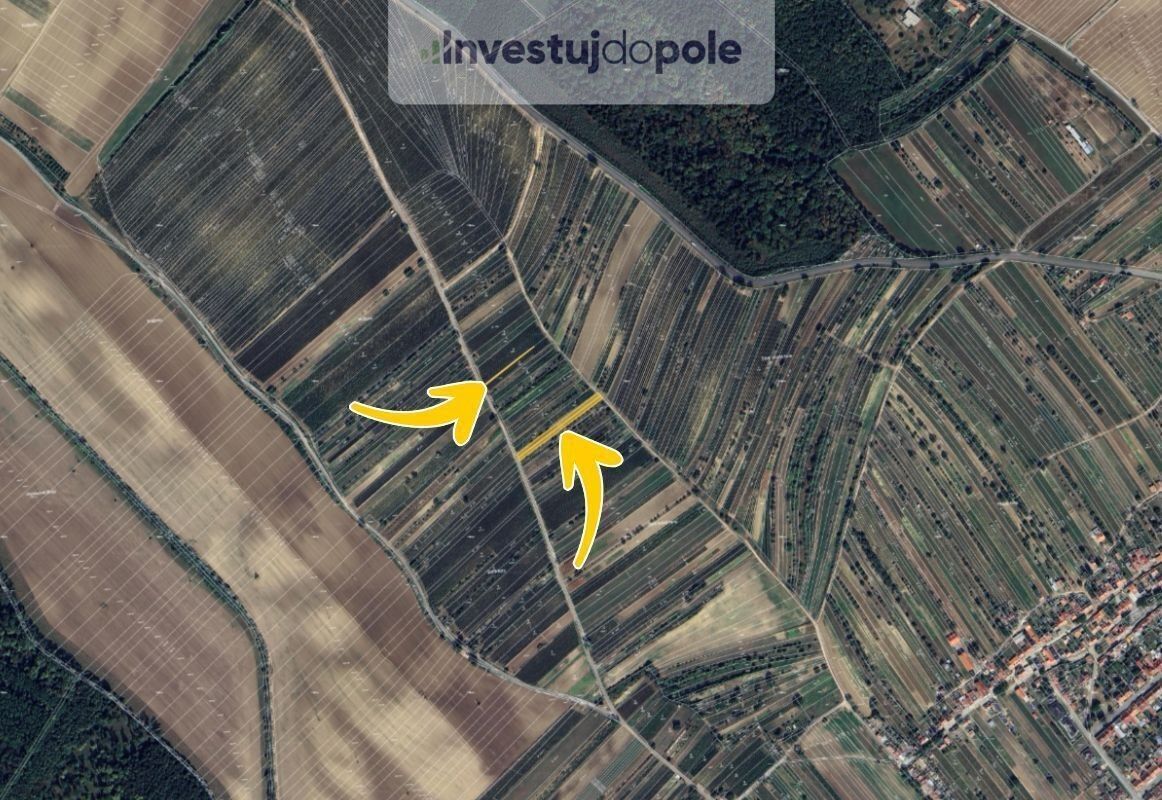 Prodej zemědělský pozemek - Dolní Bojanovice, 1 330 m²
