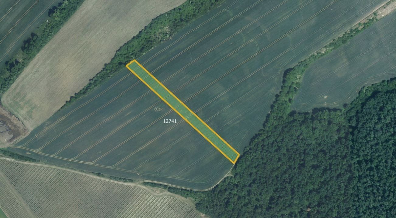 Zemědělské pozemky, Mutěnice, 5 978 m²