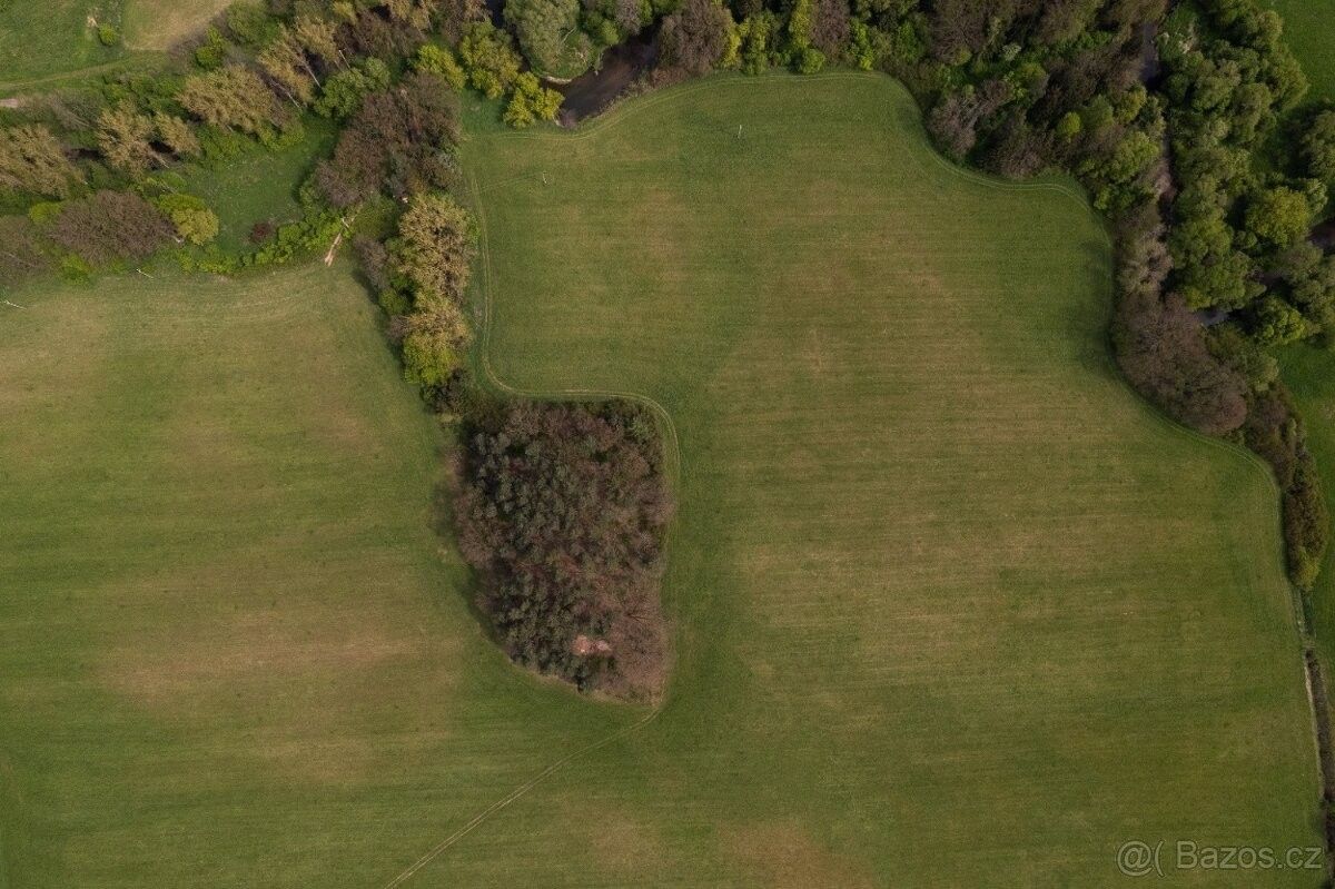 Prodej les - Rychnov nad Kněžnou, 516 01, 7 342 m²