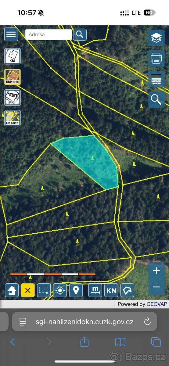 Lesy, Rapotín, 788 14, 2 542 m²