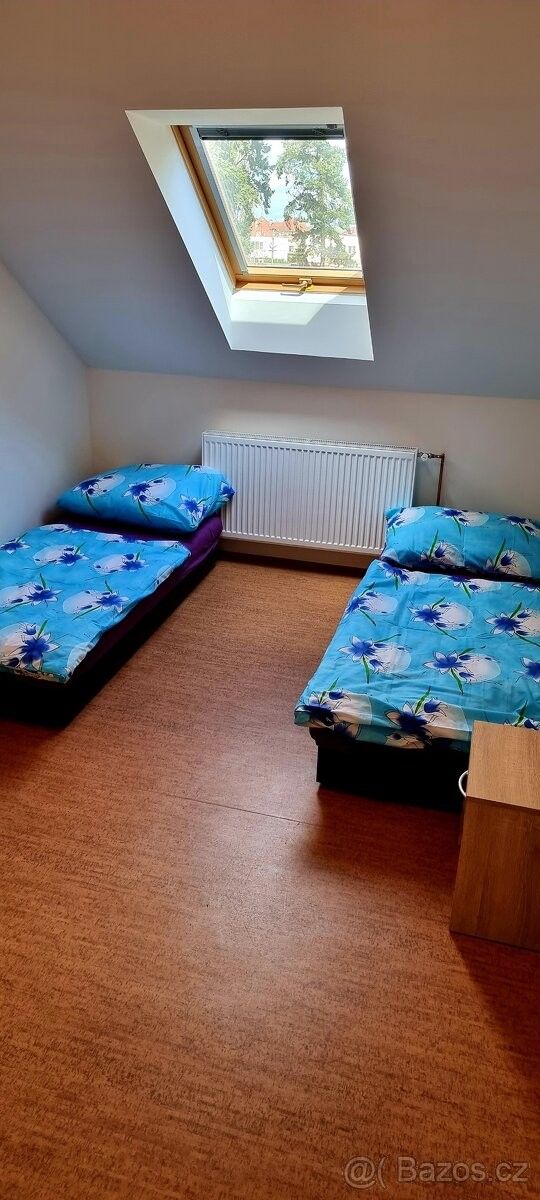 Ostatní, Třebechovice pod Orebem, 503 46