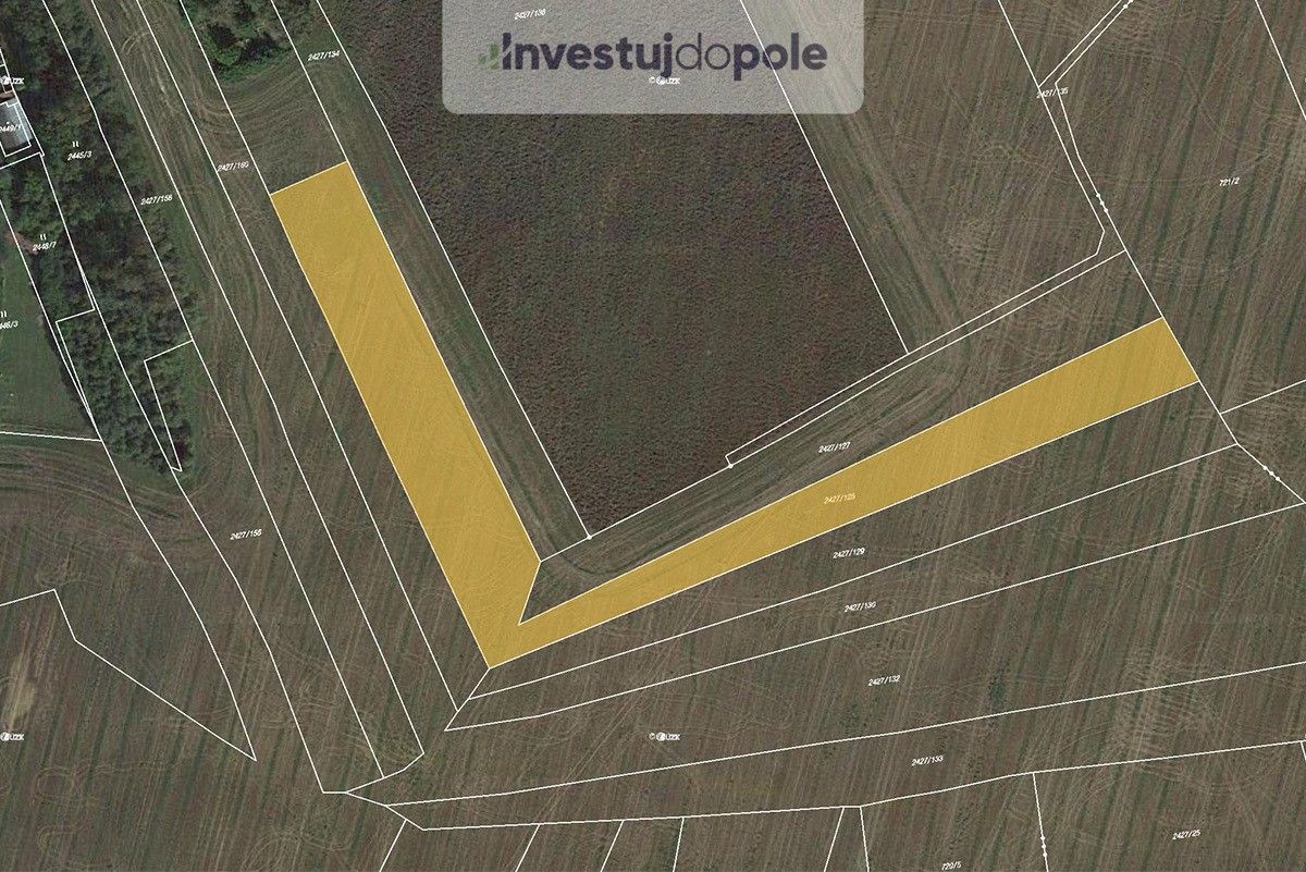 Zemědělské pozemky, Třemošná, 7 281 m²