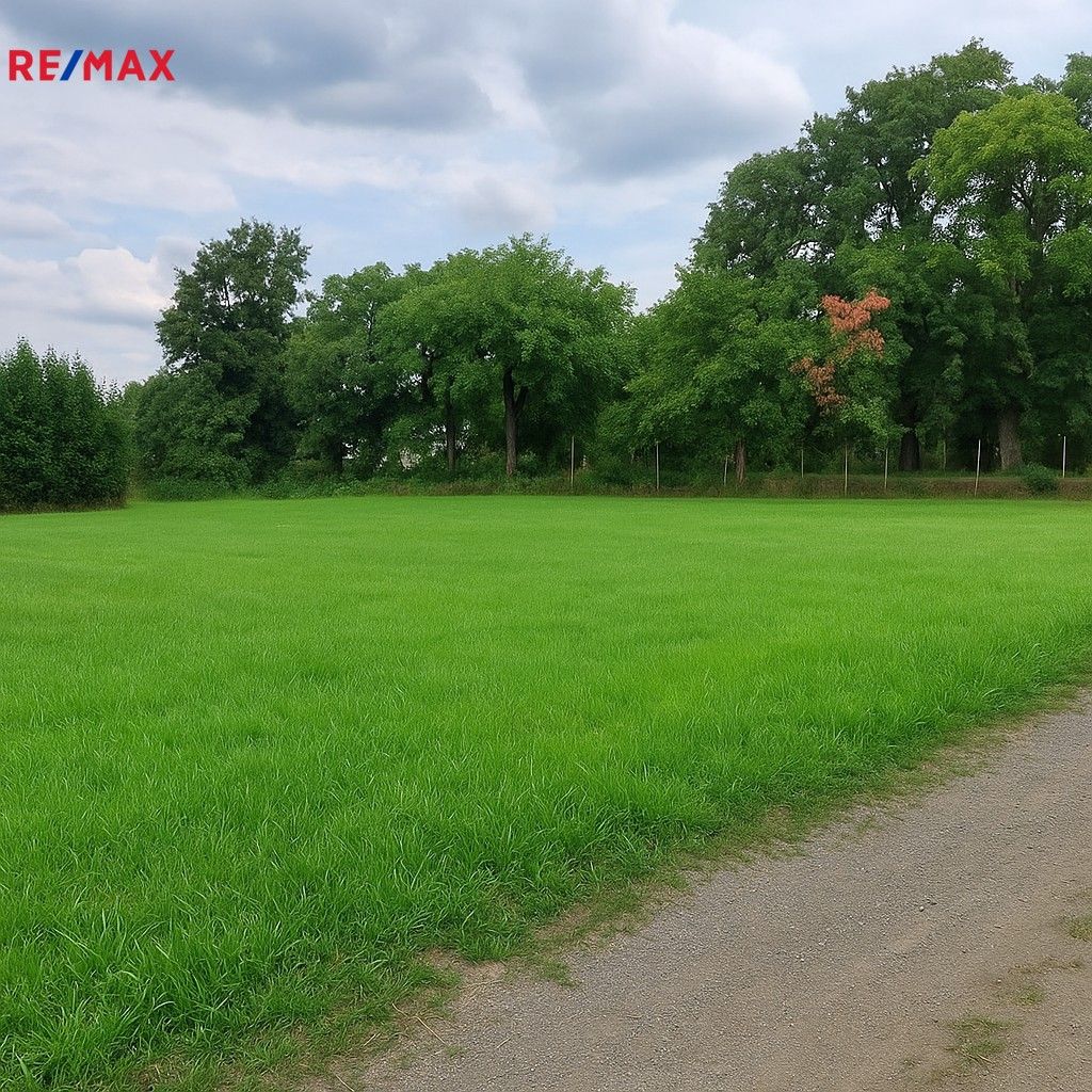 Pozemky pro bydlení, Střížovice, 1 076 m²