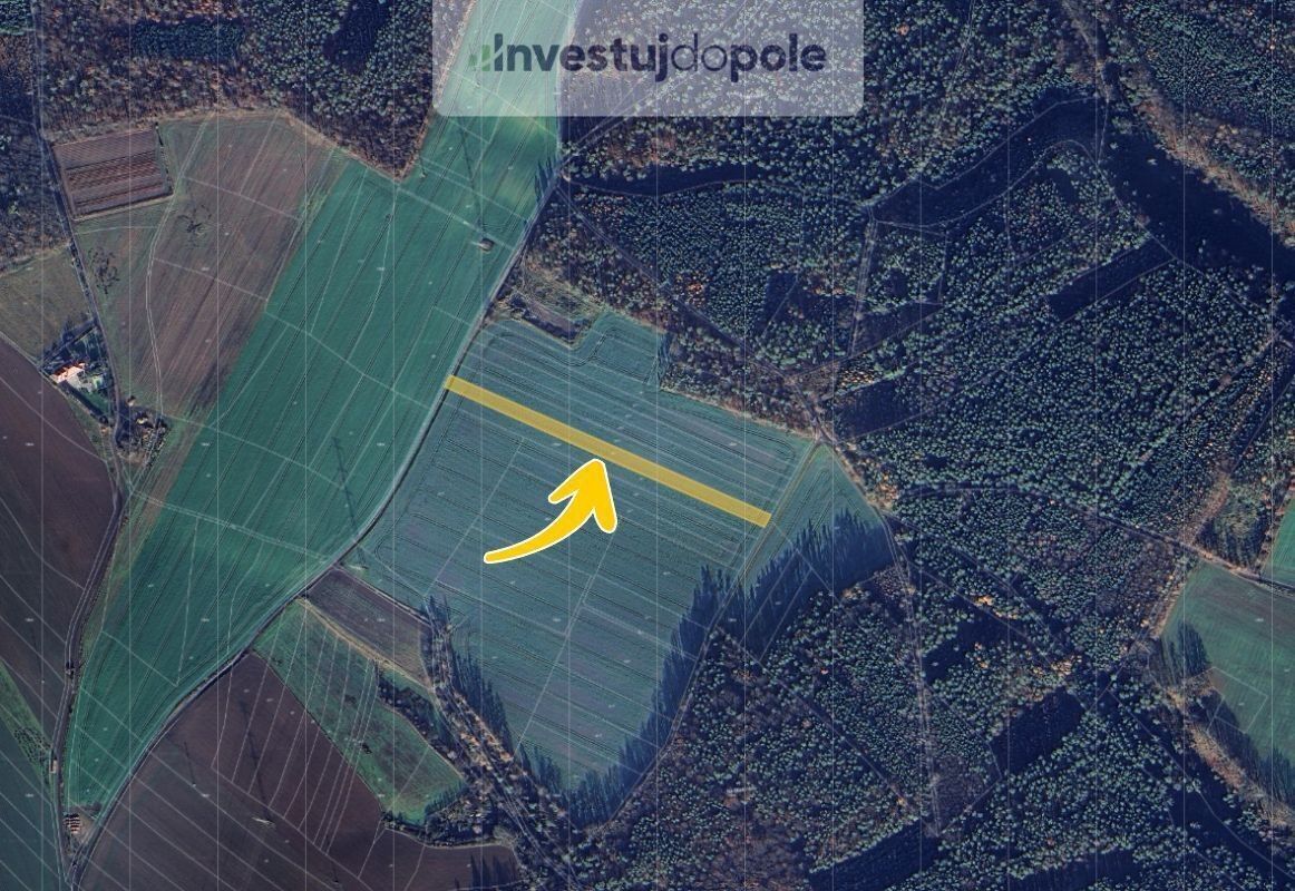 Prodej zemědělský pozemek - Dalešice, Bítouchov, 2 877 m²