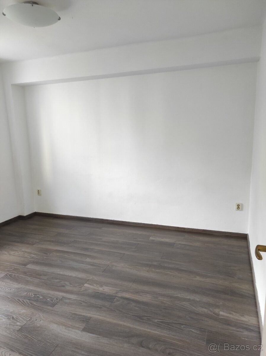 Pronájem byt 2+1 - Praha, 101 00, 53 m²