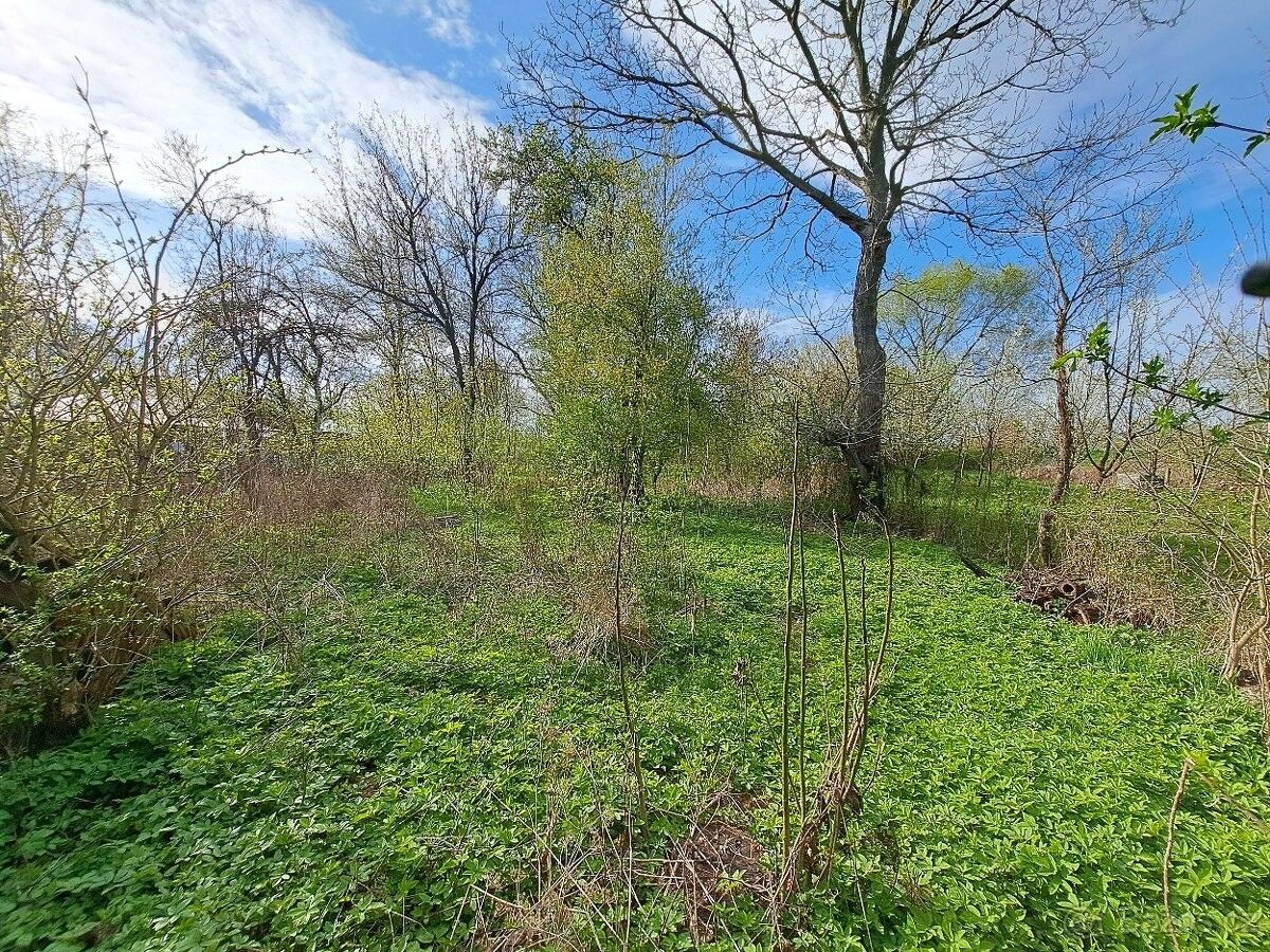 Zahrady, Veselí nad Moravou, 698 01, 2 536 m²